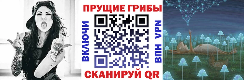 дарнет шоп Находка Псилоцибиновые грибы MAGIC MUSHROOMS